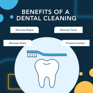 How Often Should You Go to the Dentist?